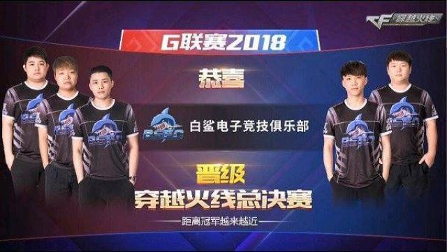 的职业生涯 的职业生涯