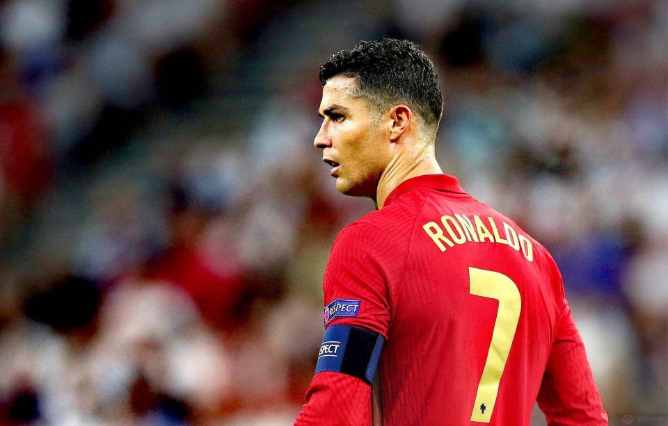 种物流便利 种物流便利